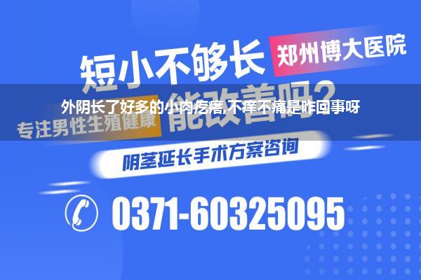 外阴长了好多的小肉疙瘩,不痒不痛是咋回事呀